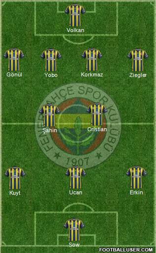 Fenerbahçe SK Formation 2013