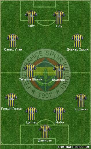 Fenerbahçe SK Formation 2013