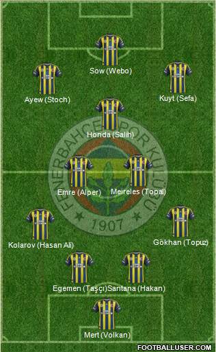 Fenerbahçe SK Formation 2013
