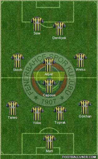Fenerbahçe SK Formation 2013