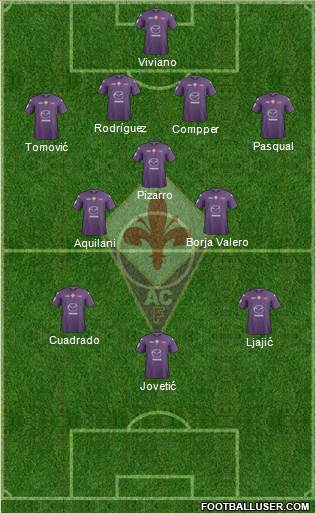 Fiorentina Formation 2013
