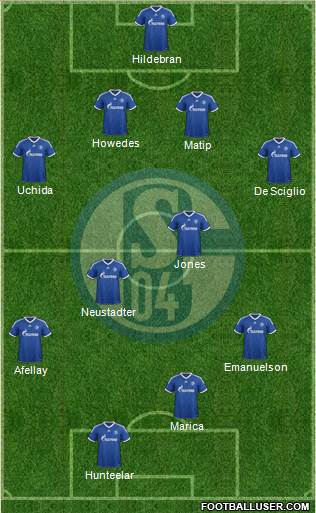 FC Schalke 04 Formation 2013