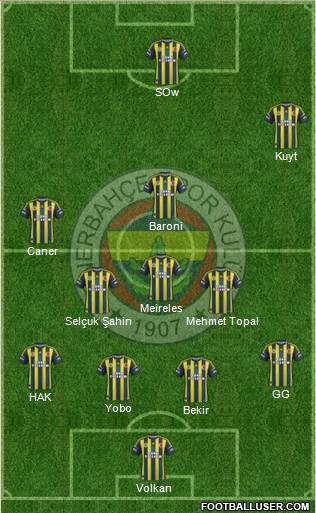 Fenerbahçe SK Formation 2013