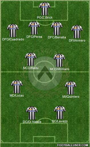 Udinese Formation 2013