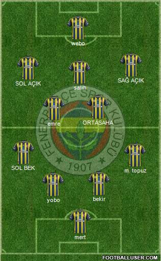 Fenerbahçe SK Formation 2013