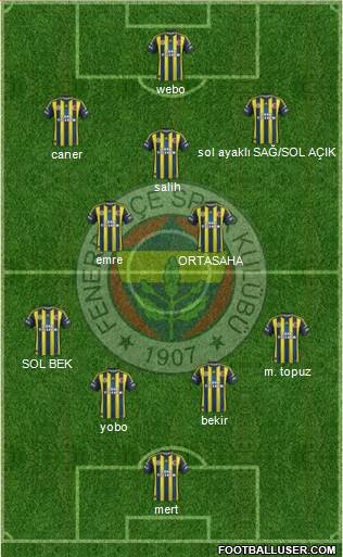 Fenerbahçe SK Formation 2013