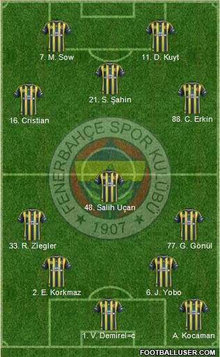 Fenerbahçe SK Formation 2013