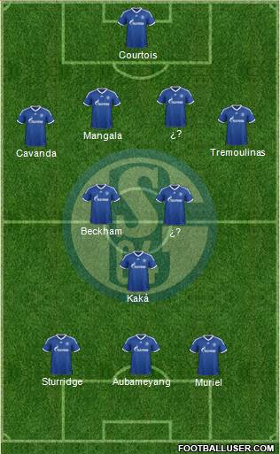 FC Schalke 04 Formation 2013