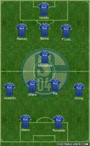 FC Schalke 04 Formation 2013