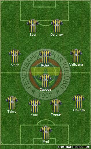 Fenerbahçe SK Formation 2013