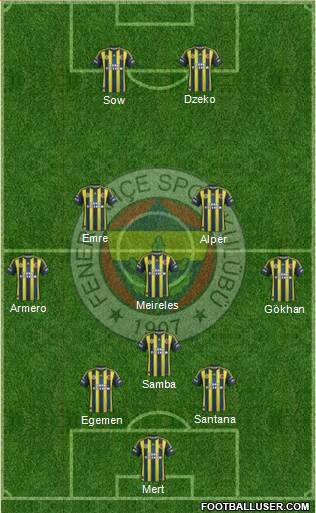 Fenerbahçe SK Formation 2013