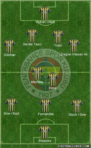 Fenerbahçe SK Formation 2013