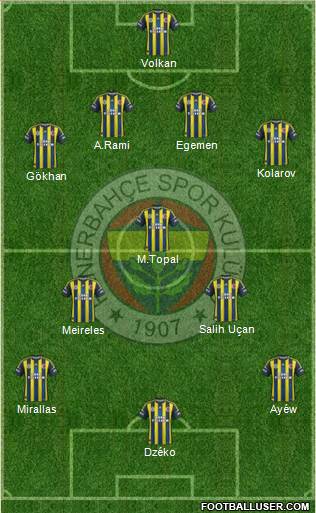 Fenerbahçe SK Formation 2013