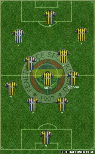Fenerbahçe SK Formation 2013