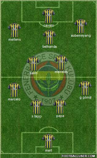 Fenerbahçe SK Formation 2013