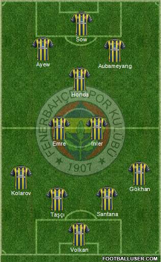 Fenerbahçe SK Formation 2013