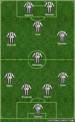 Newcastle United Formation 2013