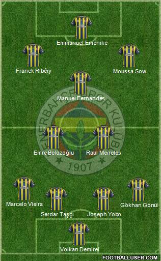 Fenerbahçe SK Formation 2013