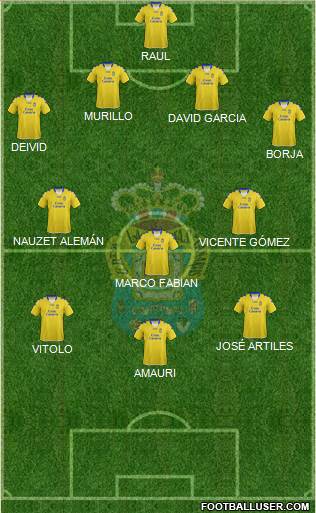 U.D. Las Palmas S.A.D. Formation 2013