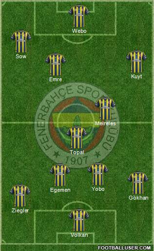 Fenerbahçe SK Formation 2013