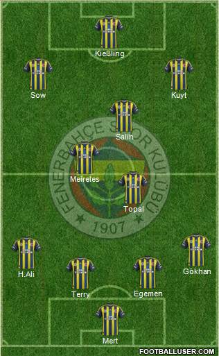 Fenerbahçe SK Formation 2013