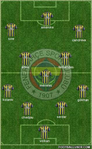 Fenerbahçe SK Formation 2013