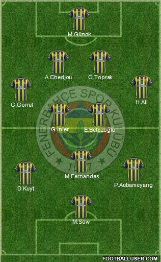 Fenerbahçe SK Formation 2013