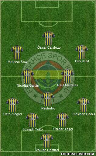 Fenerbahçe SK Formation 2013