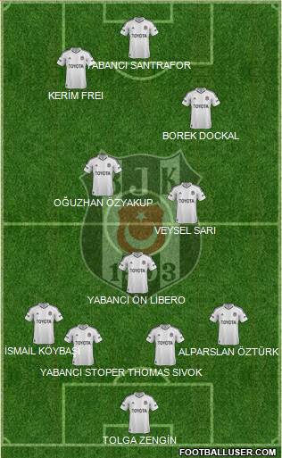 Besiktas JK Formation 2013