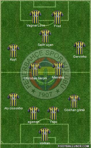 Fenerbahçe SK Formation 2013
