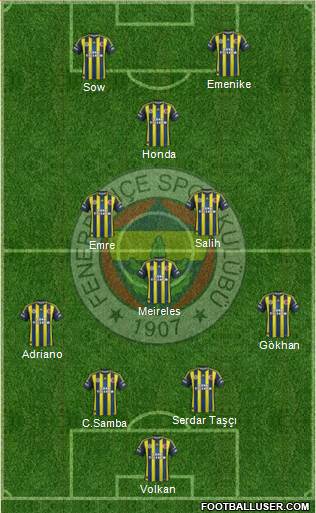 Fenerbahçe SK Formation 2013
