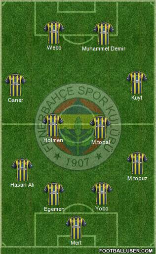 Fenerbahçe SK Formation 2013