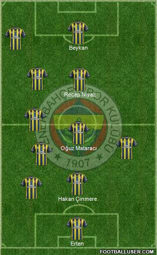 Fenerbahçe SK Formation 2013