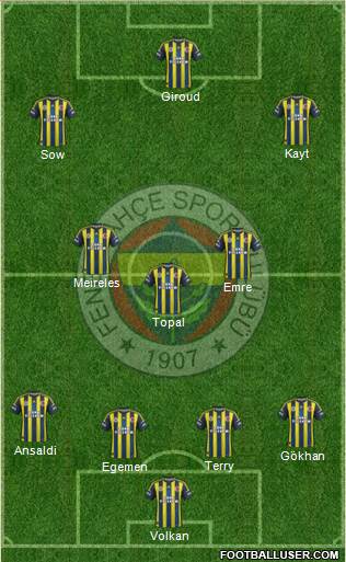 Fenerbahçe SK Formation 2013