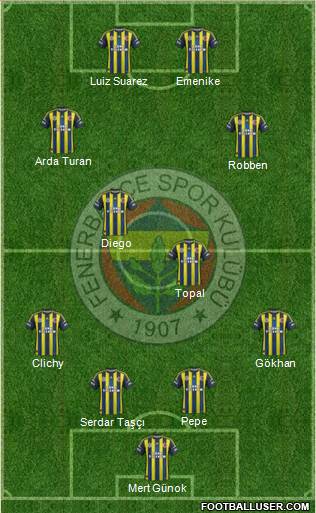 Fenerbahçe SK Formation 2013