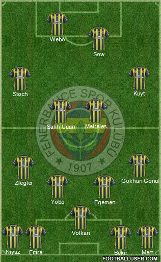 Fenerbahçe SK Formation 2013