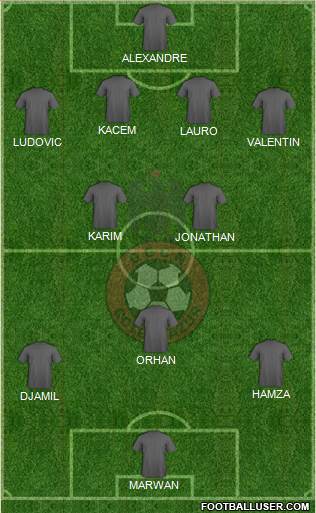 OGC Nice Côte d'Azur Formation 2013