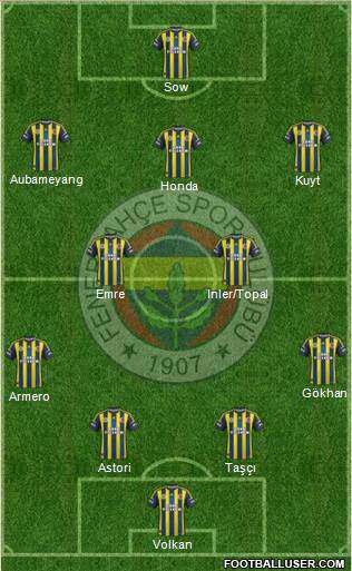 Fenerbahçe SK Formation 2013