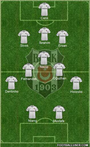Besiktas JK Formation 2013