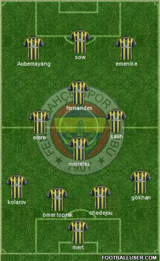 Fenerbahçe SK Formation 2013