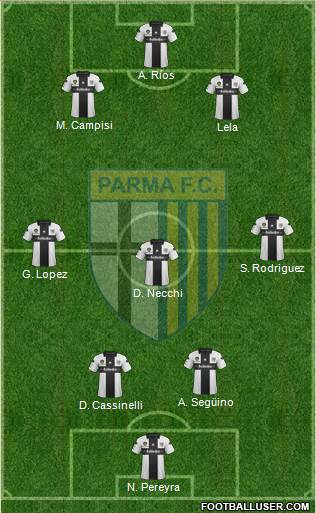 Parma Formation 2013