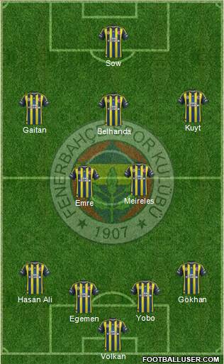 Fenerbahçe SK Formation 2013