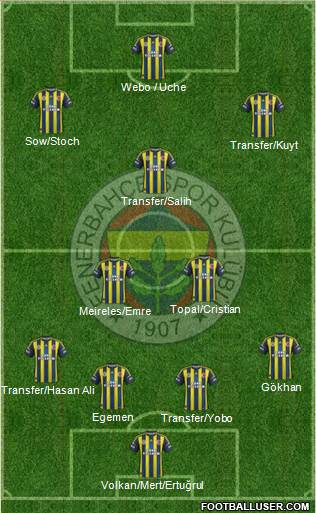 Fenerbahçe SK Formation 2013