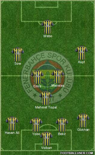 Fenerbahçe SK Formation 2013