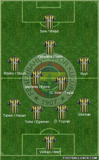 Fenerbahçe SK Formation 2013