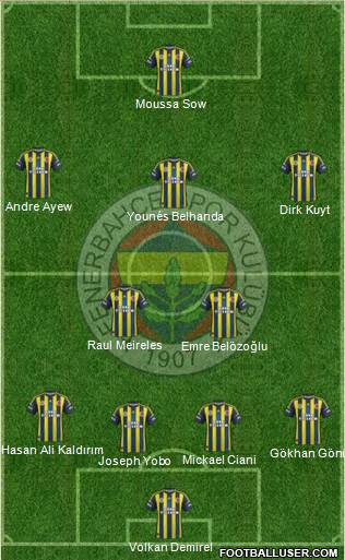 Fenerbahçe SK Formation 2013
