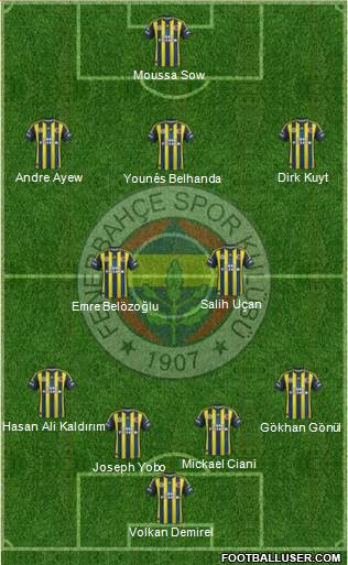 Fenerbahçe SK Formation 2013
