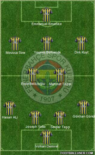 Fenerbahçe SK Formation 2013