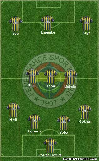 Fenerbahçe SK Formation 2013