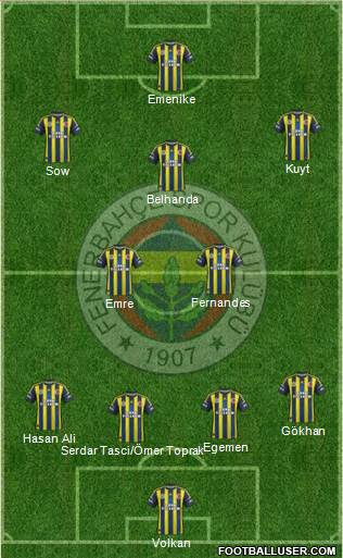Fenerbahçe SK Formation 2013